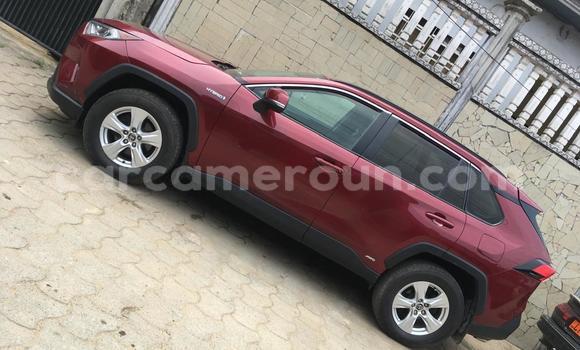 Acheter Occasion Voiture Toyota RAV4 Rouge à Douala, Littoral Cameroon Acheter Occasion Voiture Toyota RAV4 Rouge à Douala, Littoral Cameroon