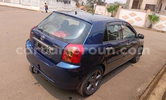 Sayi Na hannu Toyota Corolla Blue Mota in Yaounde a Babban Kamaru Sayi Na hannu Toyota Corolla Blue Mota in Yaounde a Babban Kamaru