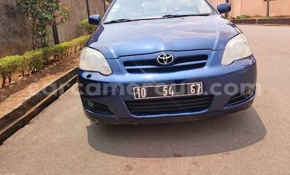 Sayi Na hannu Toyota Corolla Blue Mota in Yaounde a Babban Kamaru Sayi Na hannu Toyota Corolla Blue Mota in Yaounde a Babban Kamaru