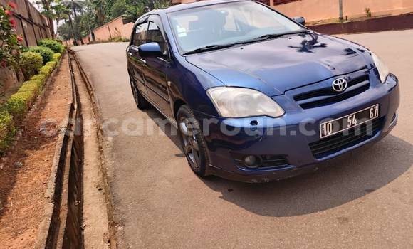 Sayi Na hannu Toyota Corolla Blue Mota in Yaounde a Babban Kamaru Sayi Na hannu Toyota Corolla Blue Mota in Yaounde a Babban Kamaru