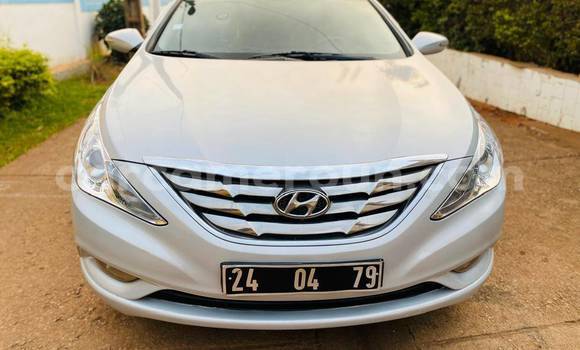 Buy Used Hyundai Sonata White Car in Yaounde in Central Cameroon