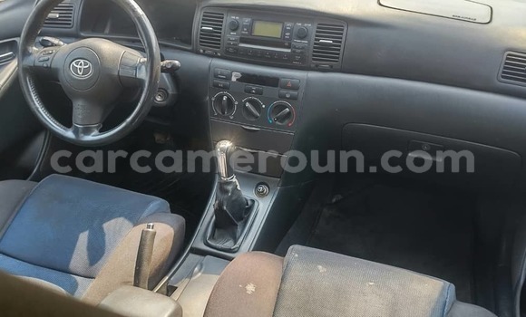 Sayi Na hannu Toyota Corolla Azurfa Mota in Douala a Ƙasar Kamaru Sayi Na hannu Toyota Corolla Azurfa Mota in Douala a Ƙasar Kamaru