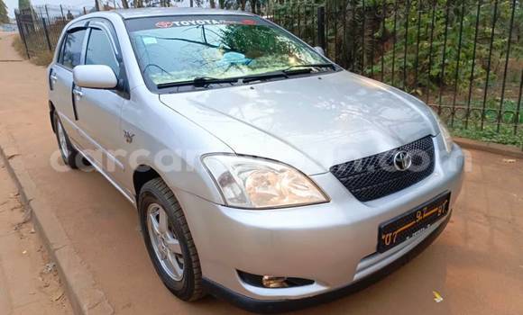 Buy Used Toyota Corolla Other Car in Yaounde in Central Cameroon