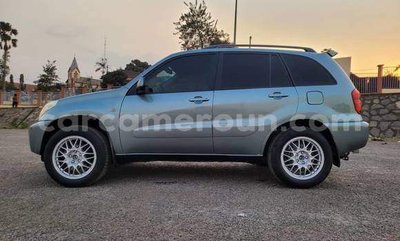 Sayi Na hannu Toyota RAV4 Sauran Mota in Yaounde a Babban Kamaru Sayi Na hannu Toyota RAV4 Sauran Mota in Yaounde a Babban Kamaru