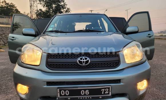 Sayi Na hannu Toyota RAV4 Sauran Mota in Yaounde a Babban Kamaru Sayi Na hannu Toyota RAV4 Sauran Mota in Yaounde a Babban Kamaru