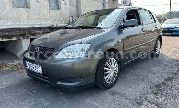 Buy Used Toyota Corolla Other Car in Yaounde in Central Cameroon