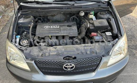 Buy Used Toyota Corolla Other Car in Yaounde in Central Cameroon Buy Used Toyota Corolla Other Car in Yaounde in Central Cameroon