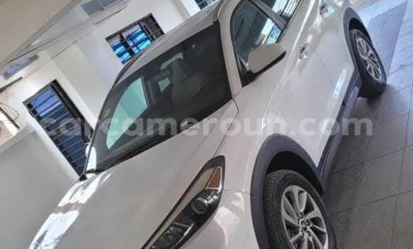 Acheter Occasion Voiture Hyundai Tucson Blanc à Yaoundé, Central Cameroon