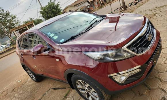 Sayi Na hannu Kia Sportage Red Mota in Yaounde a Babban Kamaru Sayi Na hannu Kia Sportage Red Mota in Yaounde a Babban Kamaru