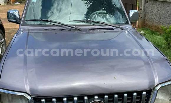 Sayi Na hannu Toyota Land Cruiser Sauran Mota in Yaounde a Babban Kamaru