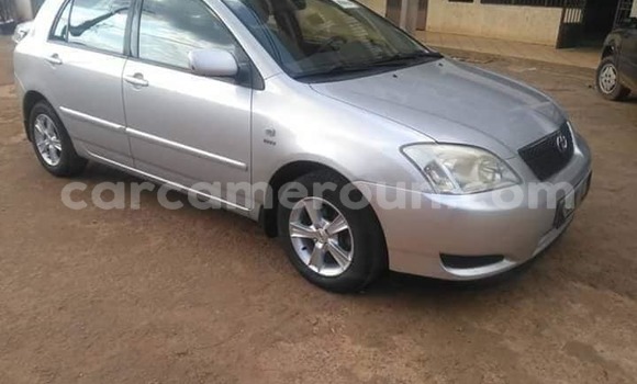 Acheter Occasion Voiture Toyota Corolla Gris à Yaoundé, Central Cameroon Acheter Occasion Voiture Toyota Corolla Gris à Yaoundé, Central Cameroon