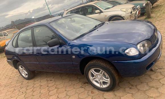 Sayi Na hannu Toyota Corolla Blue Mota in Yaounde a Babban Kamaru Sayi Na hannu Toyota Corolla Blue Mota in Yaounde a Babban Kamaru