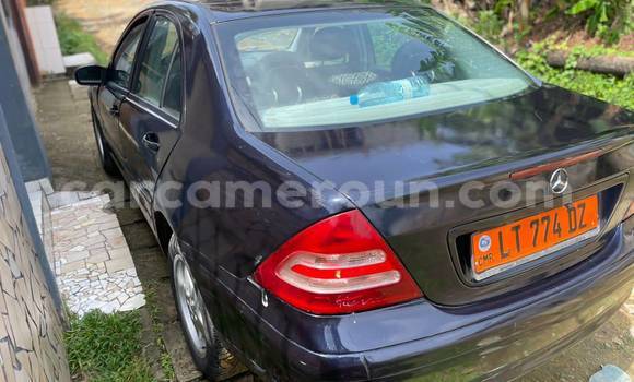 Sayi Na hannu Ford Focus Blue Mota in Yaounde a Babban Kamaru Sayi Na hannu Ford Focus Blue Mota in Yaounde a Babban Kamaru