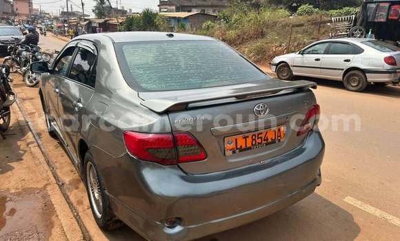 Acheter Occasion Voiture Toyota Corolla Autre à Yaoundé, Central Cameroon Acheter Occasion Voiture Toyota Corolla Autre à Yaoundé, Central Cameroon