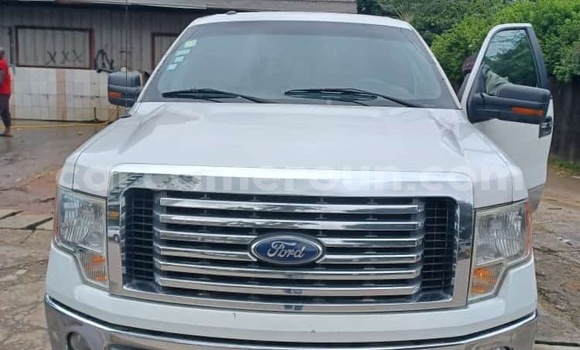 Buy New Ford F–150 White Car in Douala in Littoral Cameroon