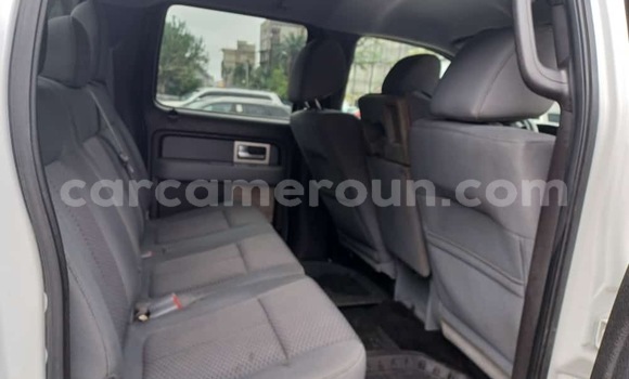 Acheter Neuf Voiture Ford F–150 Blanc à Douala, Littoral Cameroon Acheter Neuf Voiture Ford F–150 Blanc à Douala, Littoral Cameroon