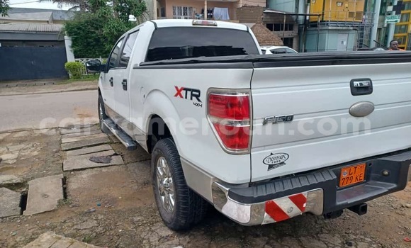 Acheter Neuf Voiture Ford F–150 Blanc à Douala, Littoral Cameroon Acheter Neuf Voiture Ford F–150 Blanc à Douala, Littoral Cameroon
