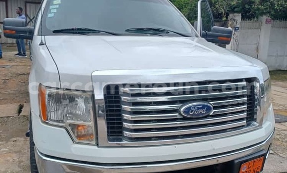 Acheter Neuf Voiture Ford F–150 Blanc à Douala, Littoral Cameroon Acheter Neuf Voiture Ford F–150 Blanc à Douala, Littoral Cameroon