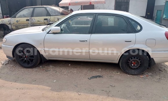 Acheter Occasion Voiture Toyota Corolla Gris à Douala, Littoral Cameroon Acheter Occasion Voiture Toyota Corolla Gris à Douala, Littoral Cameroon
