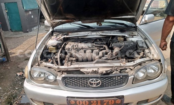 Acheter Occasion Voiture Toyota Corolla Gris à Douala, Littoral Cameroon Acheter Occasion Voiture Toyota Corolla Gris à Douala, Littoral Cameroon