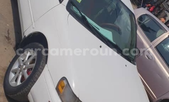 Acheter Neuf Voiture Toyota Corolla Blanc à Douala, Littoral Cameroon