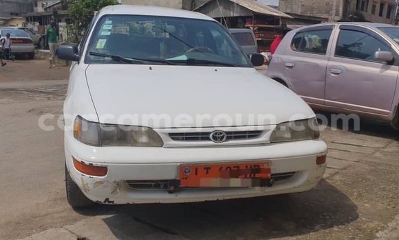 Acheter Neuf Voiture Toyota Corolla Blanc à Douala, Littoral Cameroon Acheter Neuf Voiture Toyota Corolla Blanc à Douala, Littoral Cameroon