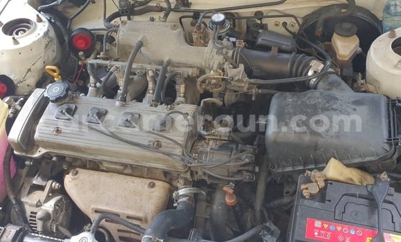 Acheter Neuf Voiture Toyota Corolla Blanc à Douala, Littoral Cameroon Acheter Neuf Voiture Toyota Corolla Blanc à Douala, Littoral Cameroon