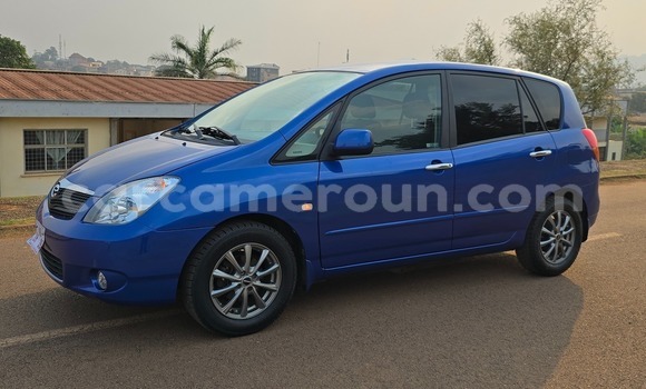 Buy Used Toyota Corolla Spacio Blue Car in Yaounde in Central Cameroon
