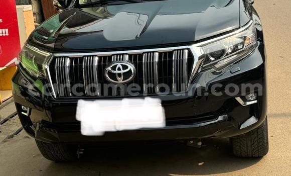 Buy Used Toyota Land Cruiser Prado Black Car in Douala in Littoral Cameroon