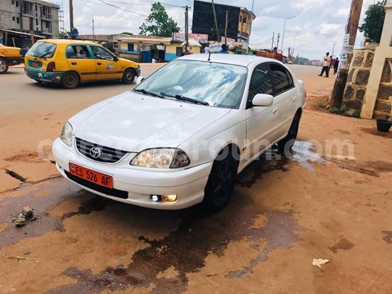 Big with watermark 44683186 243115316561749 4064879429732532224 n