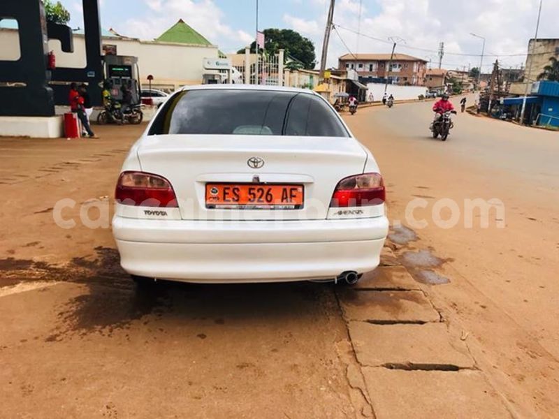 Big with watermark 44549805 243115409895073 8501823668635041792 n