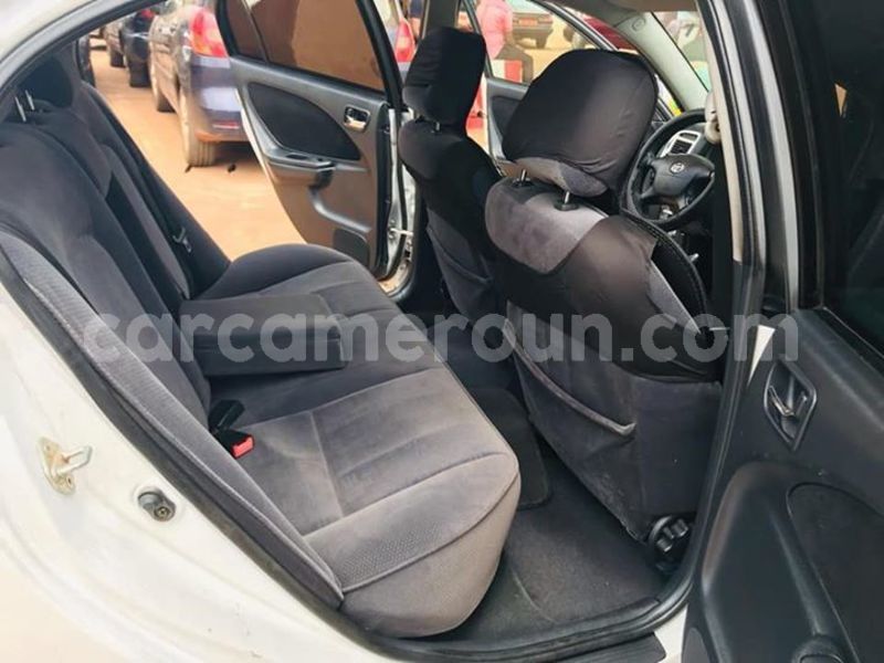 Big with watermark 44407403 243115679895046 4984831750606684160 n