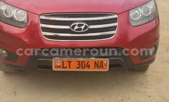 Acheter Occasion Voiture Hyundai Santa Fe Rouge à Douala, Littoral Cameroon