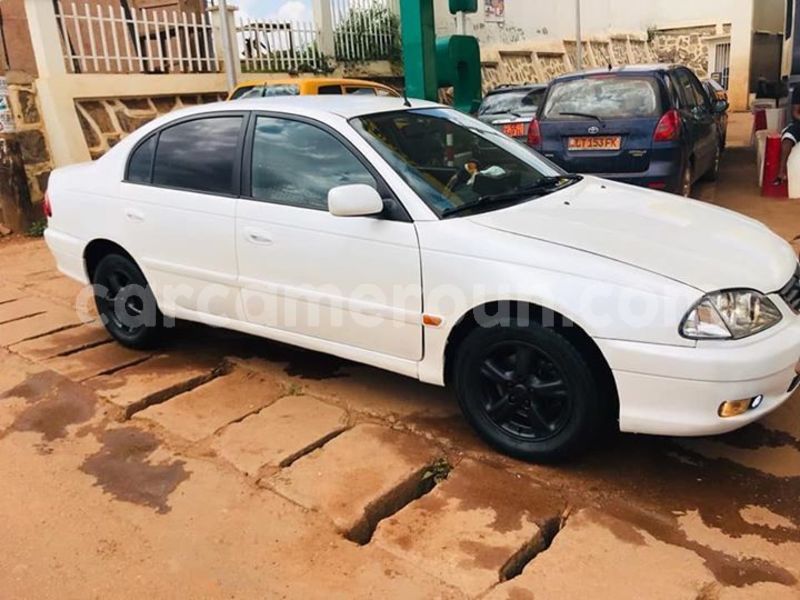 Big with watermark 44552786 243115449895069 771016255346835456 n