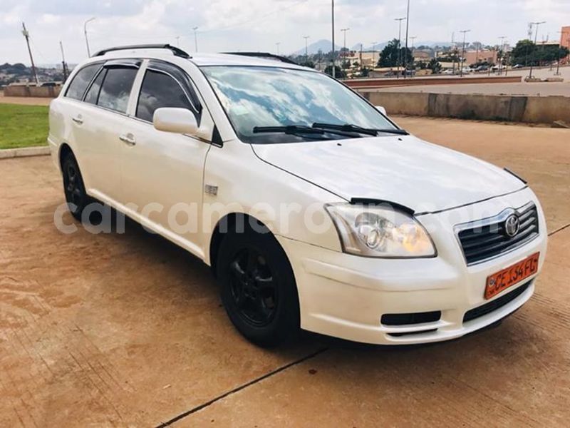 Big with watermark 44514601 243109553228992 415502862861205504 n