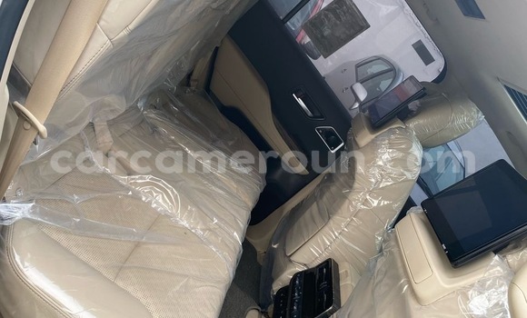Buy Import Toyota Land Cruiser White Car in Douala in Littoral Cameroon Buy Import Toyota Land Cruiser White Car in Douala in Littoral Cameroon