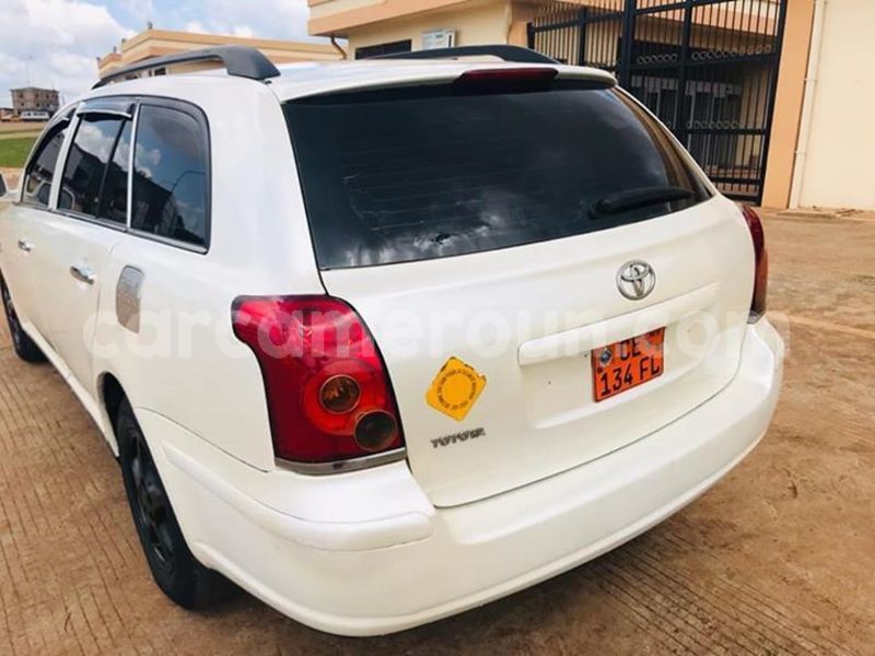 Big with watermark 44548624 243109326562348 6945934880479903744 n