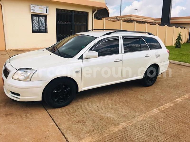 Big with watermark 44621100 243109173229030 7548656072148385792 n