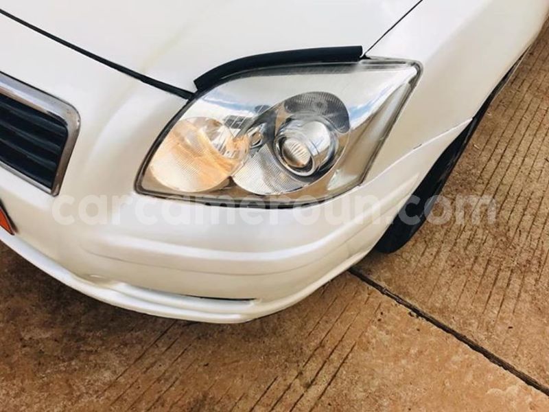 Big with watermark 44536636 243109049895709 1419752429544538112 n