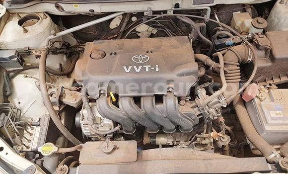 Acheter Occasion Voiture Toyota Corolla Blanc à Yabassi, Littoral Cameroon Acheter Occasion Voiture Toyota Corolla Blanc à Yabassi, Littoral Cameroon