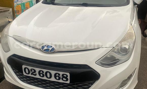 Acheter Occasion Voiture Hyundai Sonata Blanc à Douala, Littoral Cameroon Acheter Occasion Voiture Hyundai Sonata Blanc à Douala, Littoral Cameroon