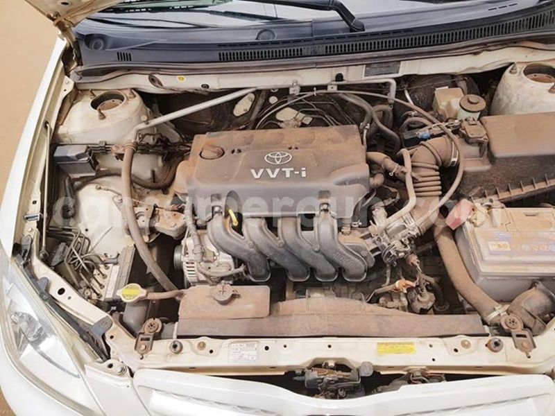 Big with watermark 42856400 233404870866127 1968658862110146560 n