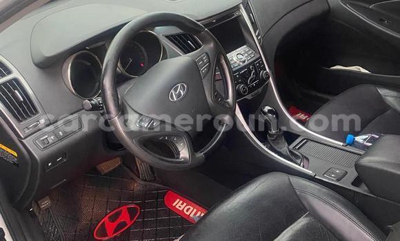 Sayi Na hannu Hyundai Sonata White Mota in Douala a Ƙasar Kamaru Sayi Na hannu Hyundai Sonata White Mota in Douala a Ƙasar Kamaru
