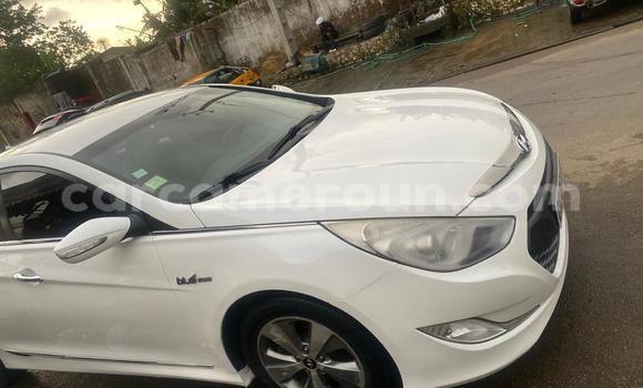 Sayi Na hannu Hyundai Sonata White Mota in Douala a Ƙasar Kamaru Sayi Na hannu Hyundai Sonata White Mota in Douala a Ƙasar Kamaru