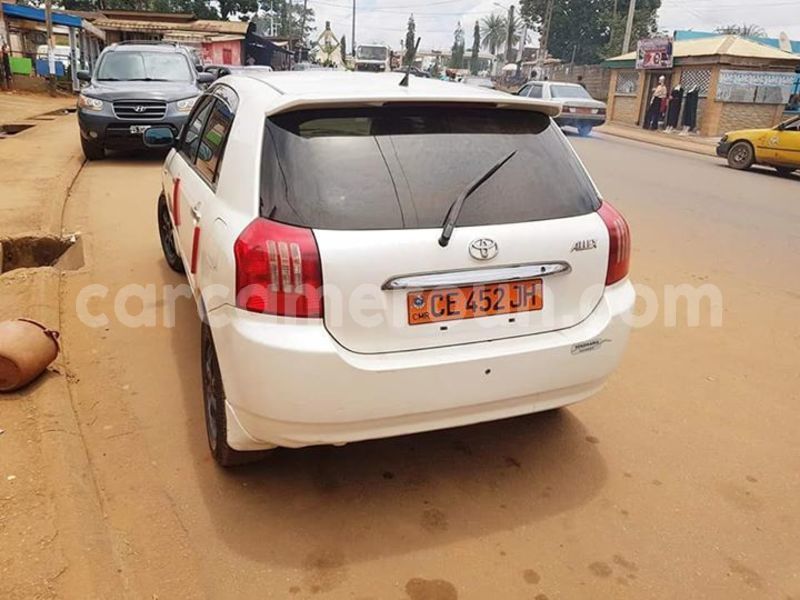 Big with watermark 42852884 233404764199471 5293894960116924416 n