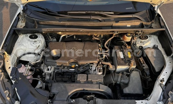 Buy Import Toyota RAV4 White Car in Douala in Littoral Cameroon Buy Import Toyota RAV4 White Car in Douala in Littoral Cameroon