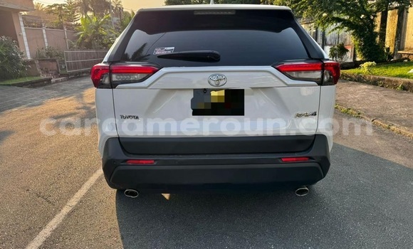 Buy Import Toyota RAV4 White Car in Douala in Littoral Cameroon Buy Import Toyota RAV4 White Car in Douala in Littoral Cameroon