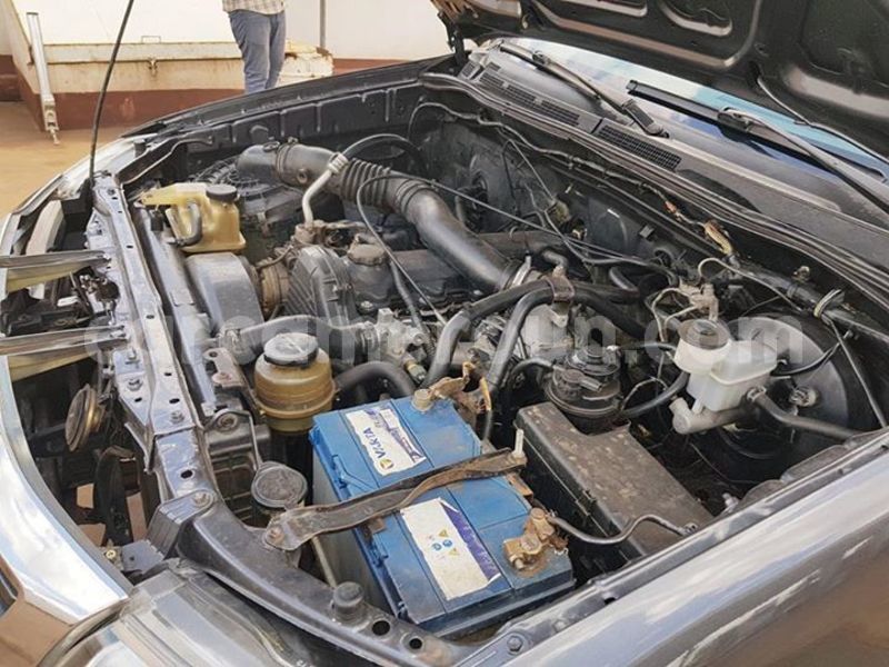 Big with watermark 42683501 231252004414747 896014462383816704 n