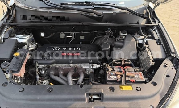 Buy Import Toyota RAV4 Silver Car in Douala in Littoral Cameroon Buy Import Toyota RAV4 Silver Car in Douala in Littoral Cameroon