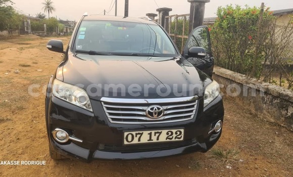 Acheter Occasion Voiture Toyota RAV4 Noir à Douala, Littoral Cameroon